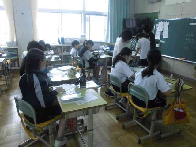 CIMG1791